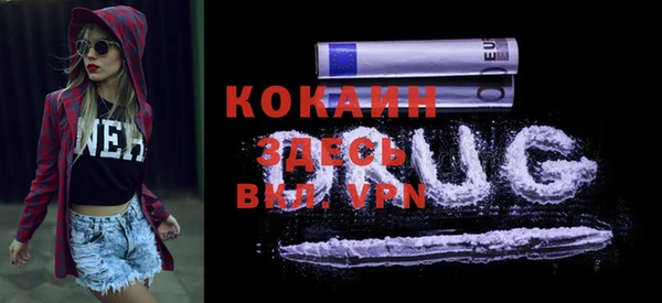 крисы Абаза