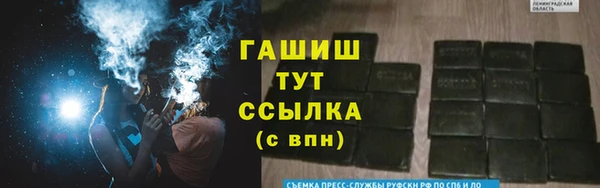 крисы Абаза
