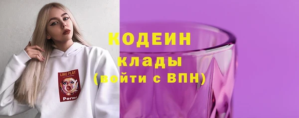 крисы Абаза