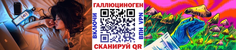 купить наркотики цена  Шилка  Псилоцибиновые грибы ЛСД 